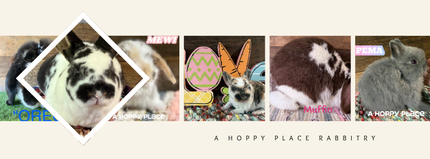 A Hoppy Place | Alexander Farm